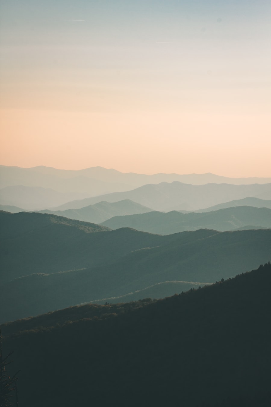 山景大床房