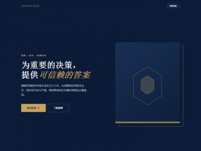 鼎峰咨询企业官网模板预览